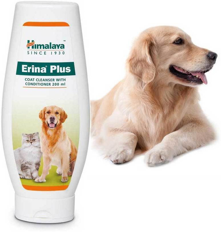 Erina plus shampoo discount