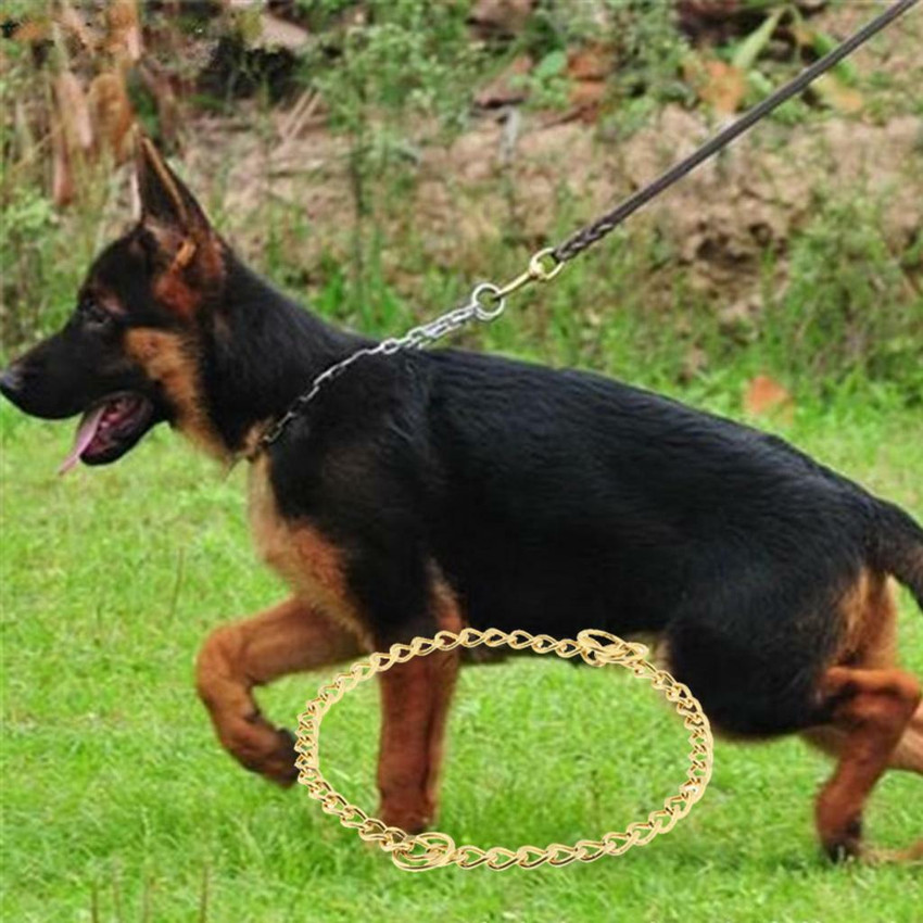 Dog chain for german hot sale shepherd