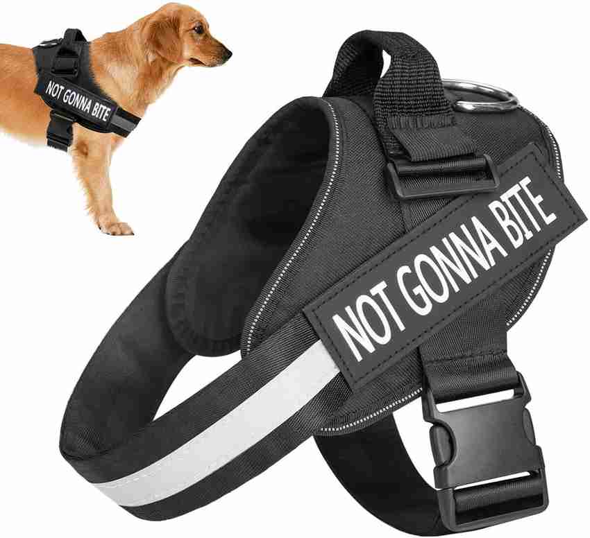 Body belt dog cheap