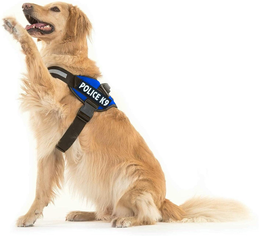 Police k9 harness and collars sale