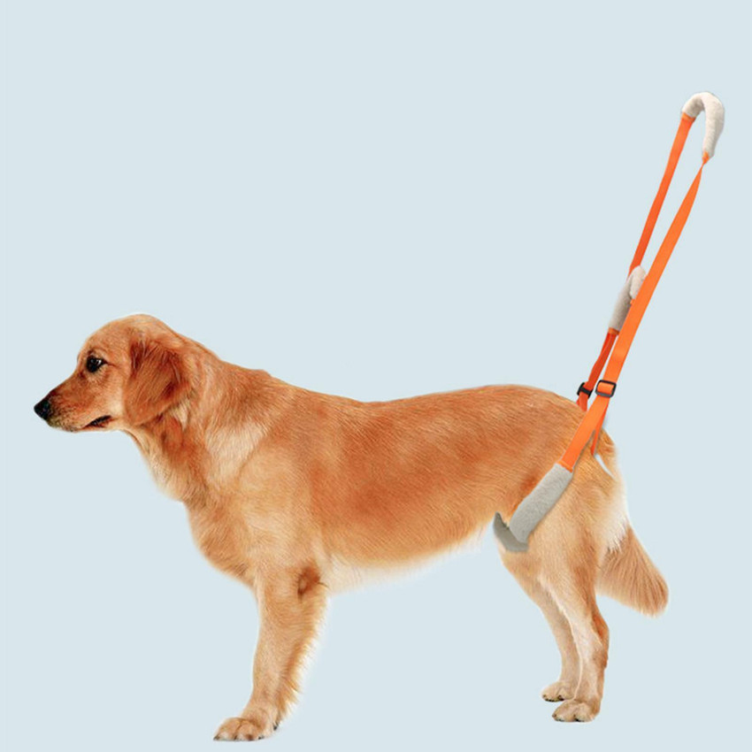 Lyla Dog Lift Harness Pets Rear Support Helpful for Senior Dogs