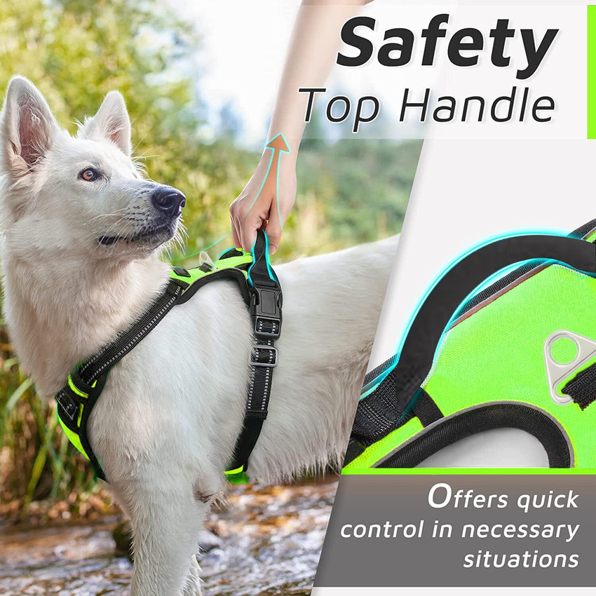 Ecoclean Dog Leash for Large Dogs, 2 Handles for Extra Control, 6 FT