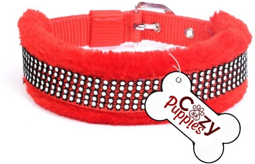 Padded 2024 cat collar