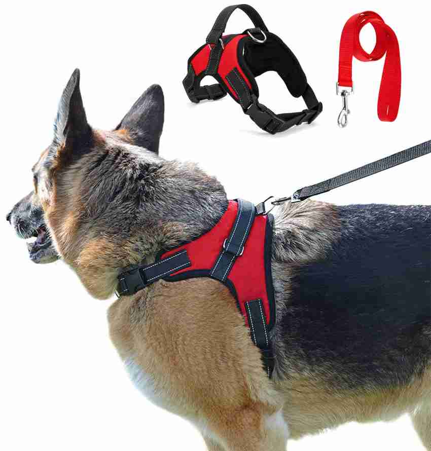 Buy Puppy Harness and Leash Set - Dog Collar and Leash for Small Dogs  Puppies, No Pull Plaid Dog Vest Harness for Outdoor Walking Online at Low  Prices in India 