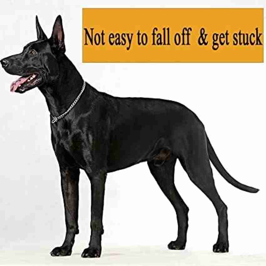 Great dane chain collar sale