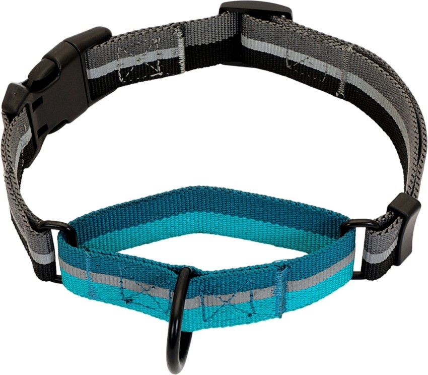 Xs 2024 martingale collar