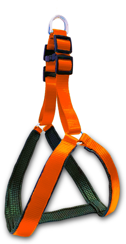 Extra large clearance breed dog harness