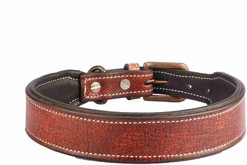 Courage Dog Collar - Neula