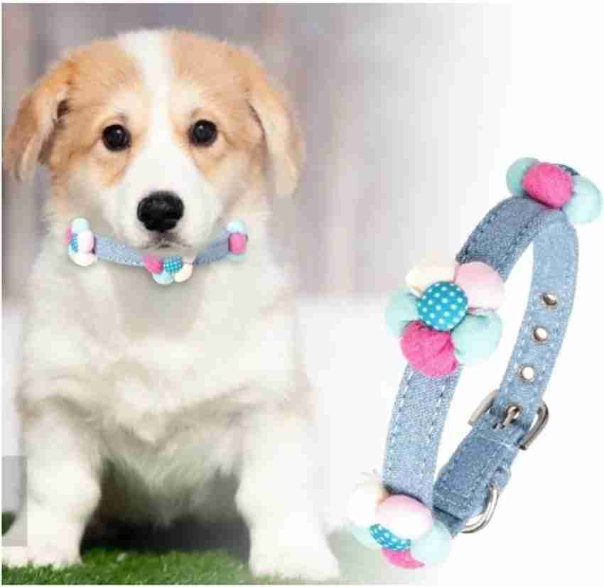 Extra small top kitten collar