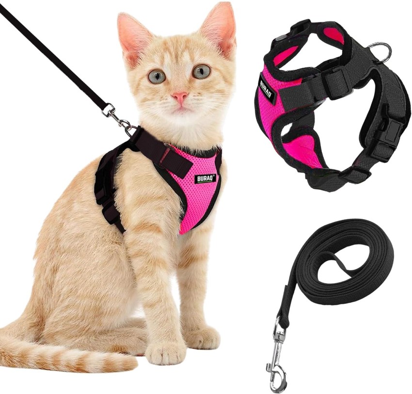 Extra small cat harness hotsell