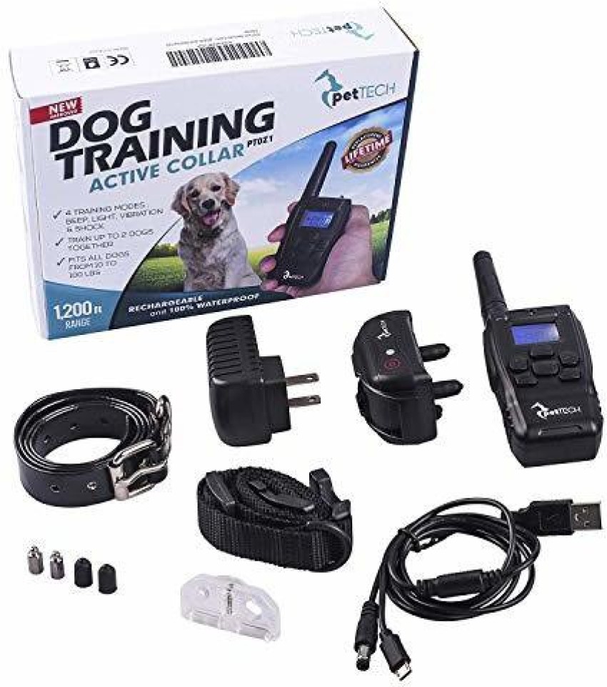 Dog training sale active collar