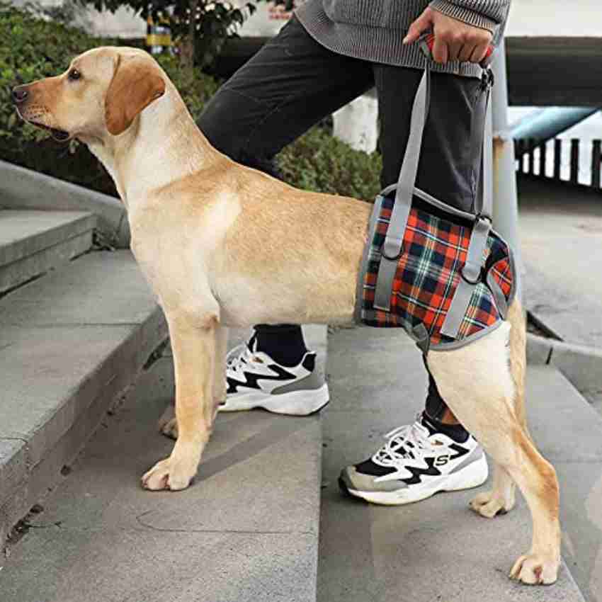 A a pets Lift Support Harness for Back Legs for Disable Aged Injured Paralysed Arthritis Dog Safety Harness Price in India Buy A a pets Lift Support Harness for Back Legs for Disable