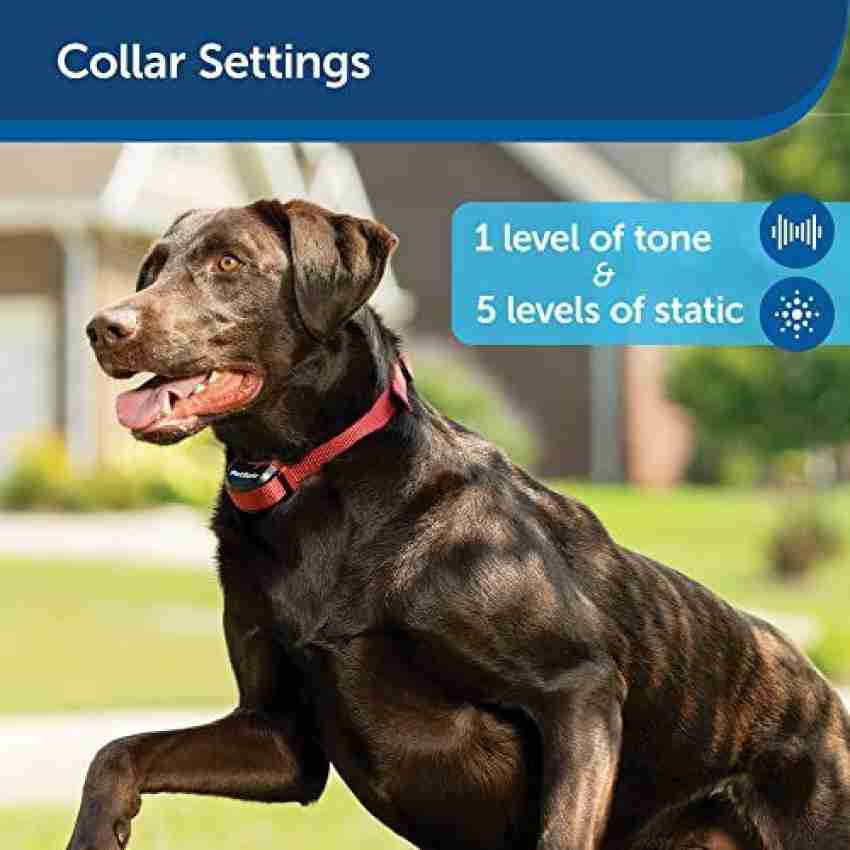 Petsafe stubborn dog collar settings sale