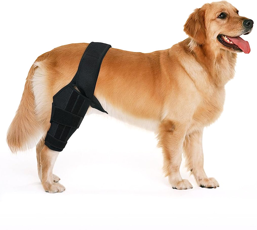 Dog leg brace cheap
