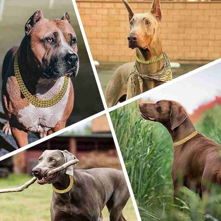 Brown Block Dog Set Collar Leash Necklace Pendant Free High