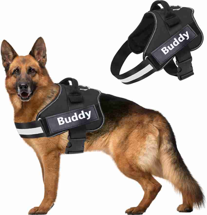 Indi dog shop walking belt