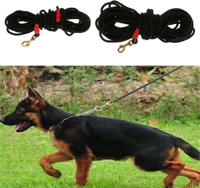 Dog tracking sale lead
