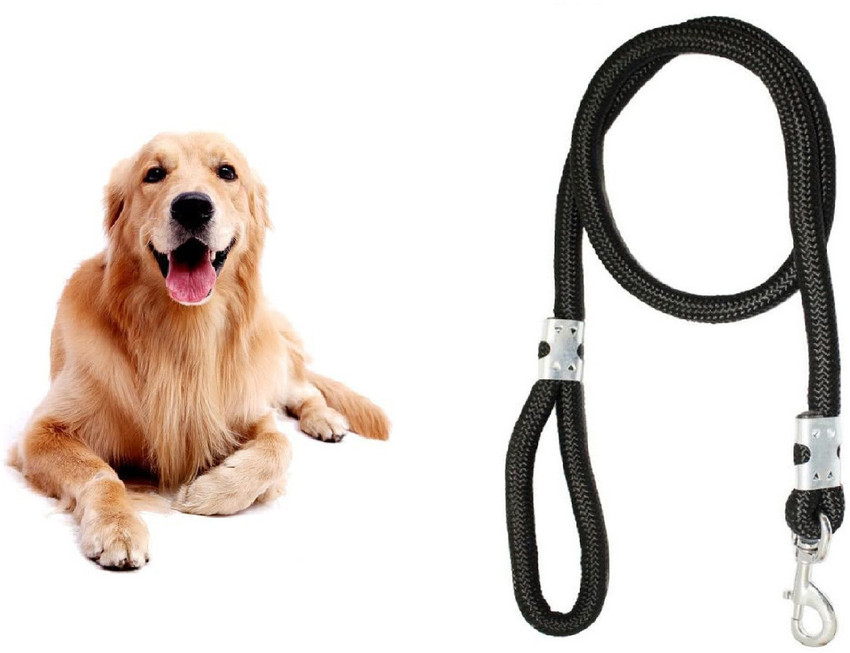 Body leash deals