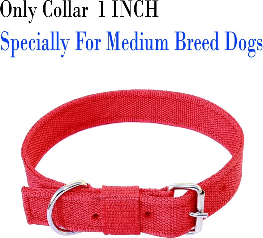 Rogue Nylon Dog Collar