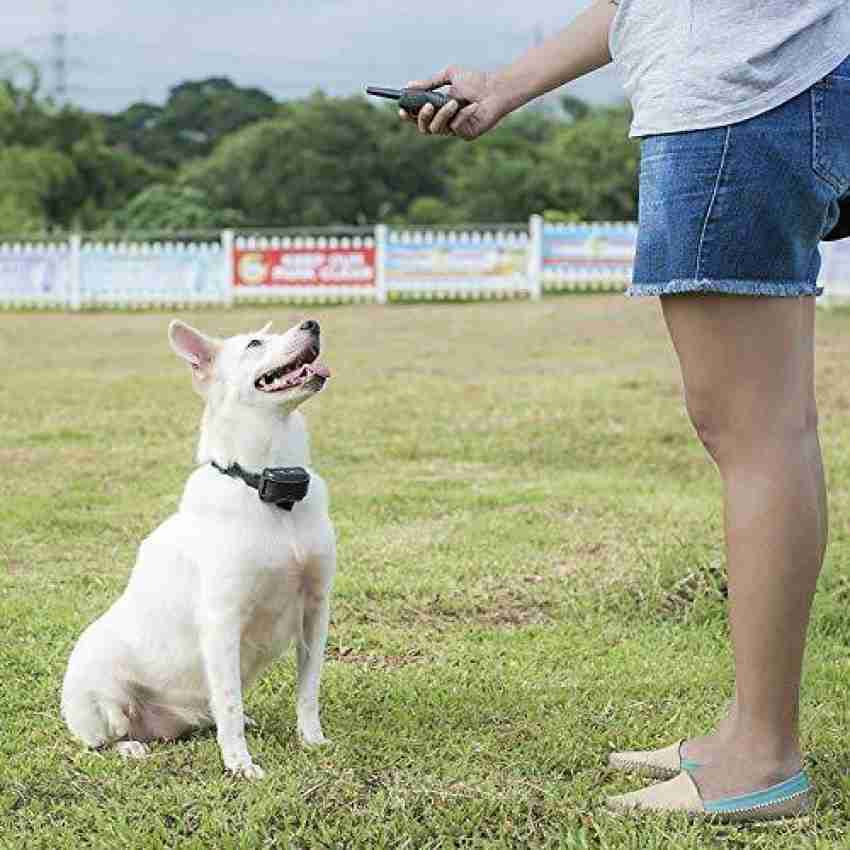 Pettech dog clearance training active collar