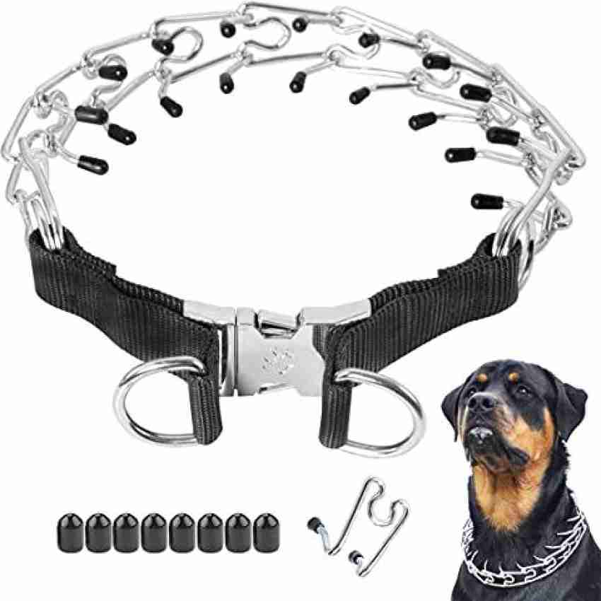 Dog prong hotsell collars stay on