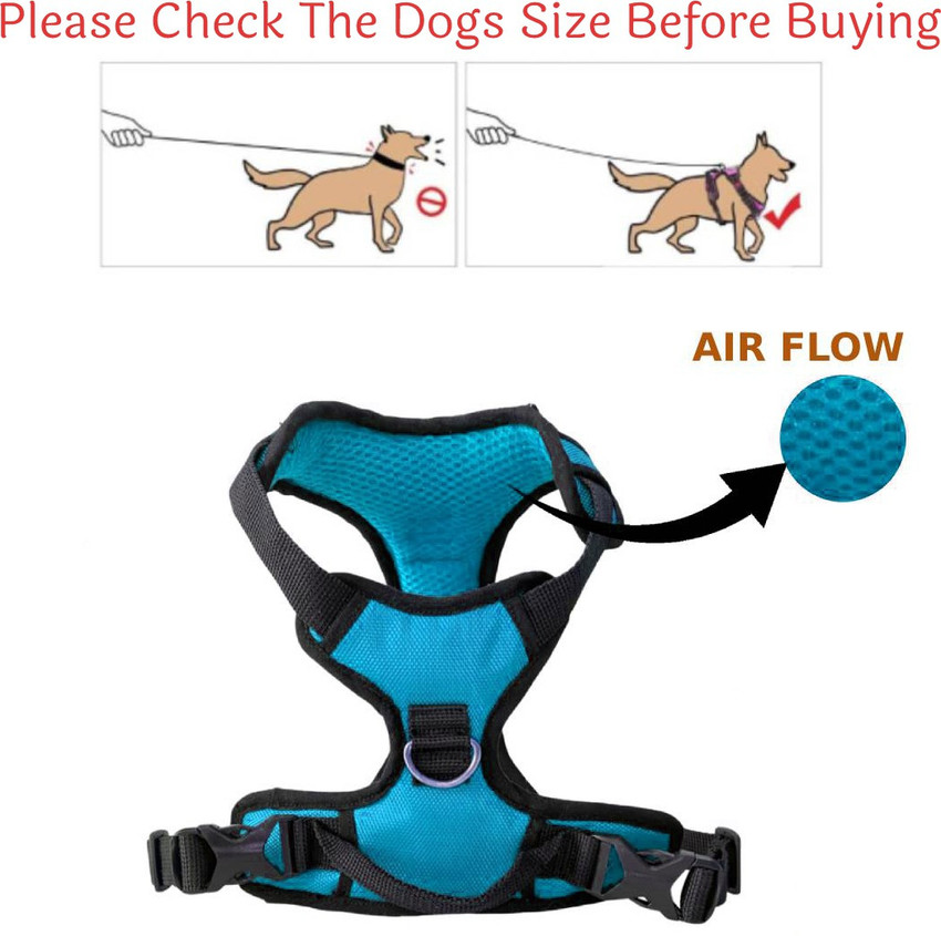 Body belt shop for labrador