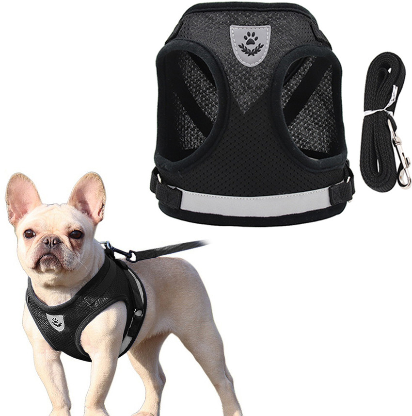 Hip leash outlet for dogs