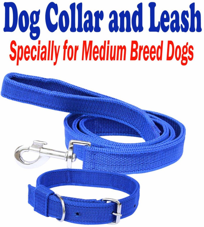 Dog belt 2024 in flipkart