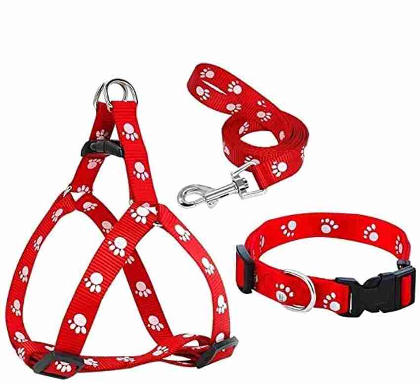 All sales dog accessories