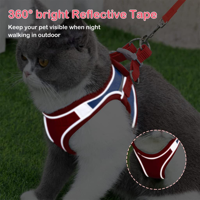 Extra long cat leash new arrivals