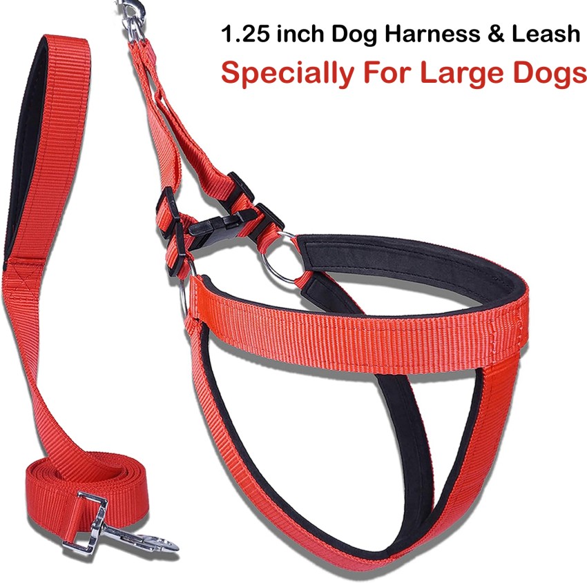 WROSHLER Dog Collar & Leash Price in India - Buy WROSHLER Dog Collar &  Leash online at