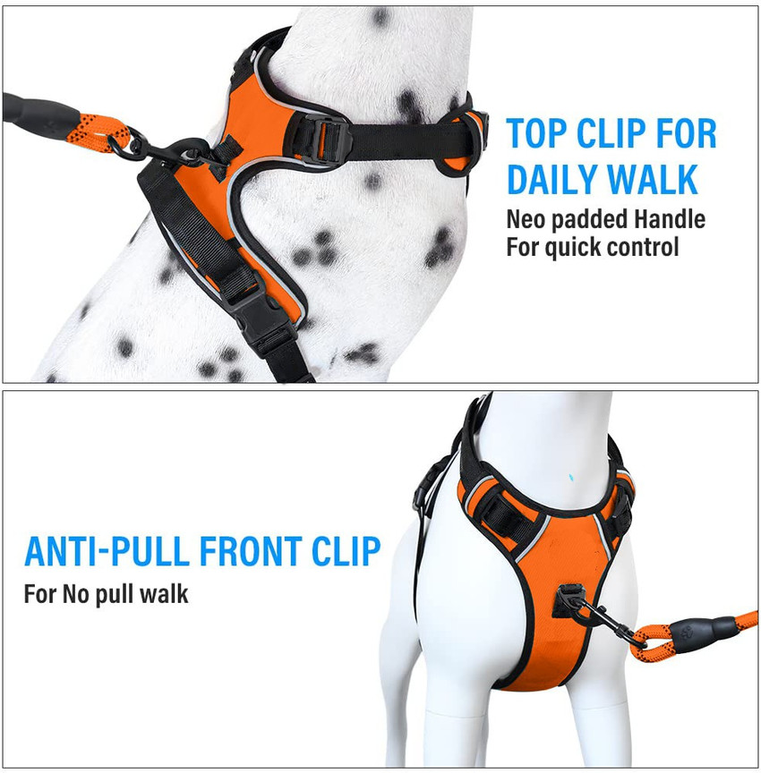 Dog body belt flipkart new arrivals