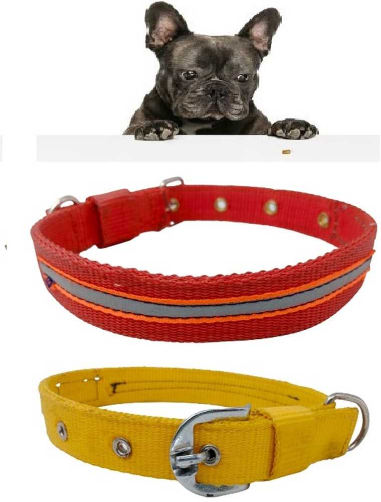 21 inch new arrivals dog collar