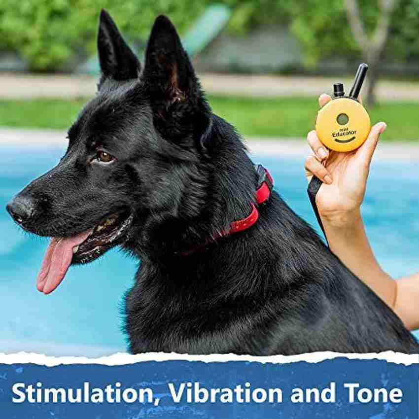 Mini Educator Mini Educator Bundle of 2 Items E Collar Et 302