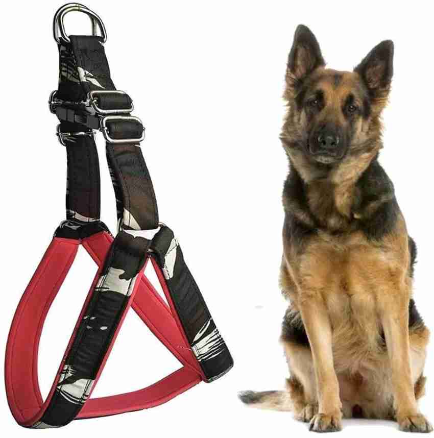 German shepherd belt top price