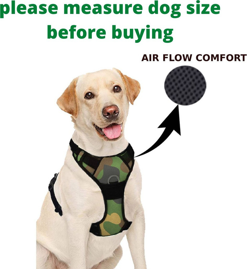 Belt outlet for labrador