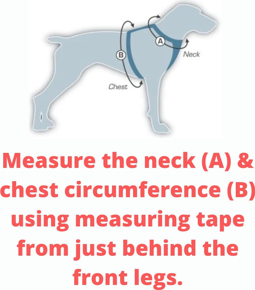 Body belt deals for labrador