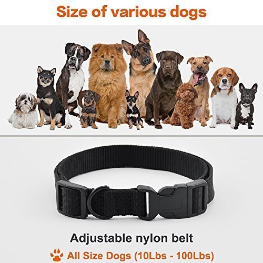 Petronics shop training collar