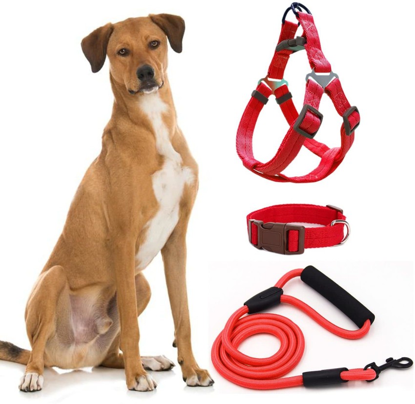 H shaped outlet dog harness