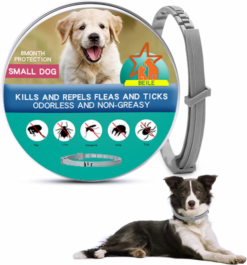 Litvibes Cat Collar With Bell,Pet Kitten Small Dog Soft Adjustable,Safe  Puppy Paw Design Dog & Cat Everyday Collar Price in India - Buy Litvibes Cat  Collar With Bell,Pet Kitten Small Dog Soft