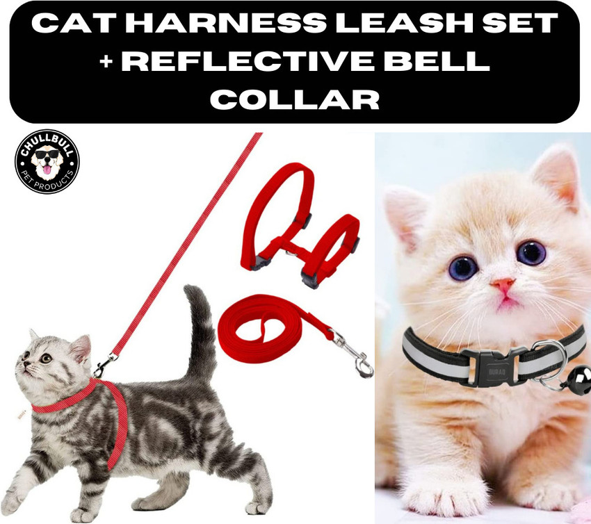 Extra small cat harness store