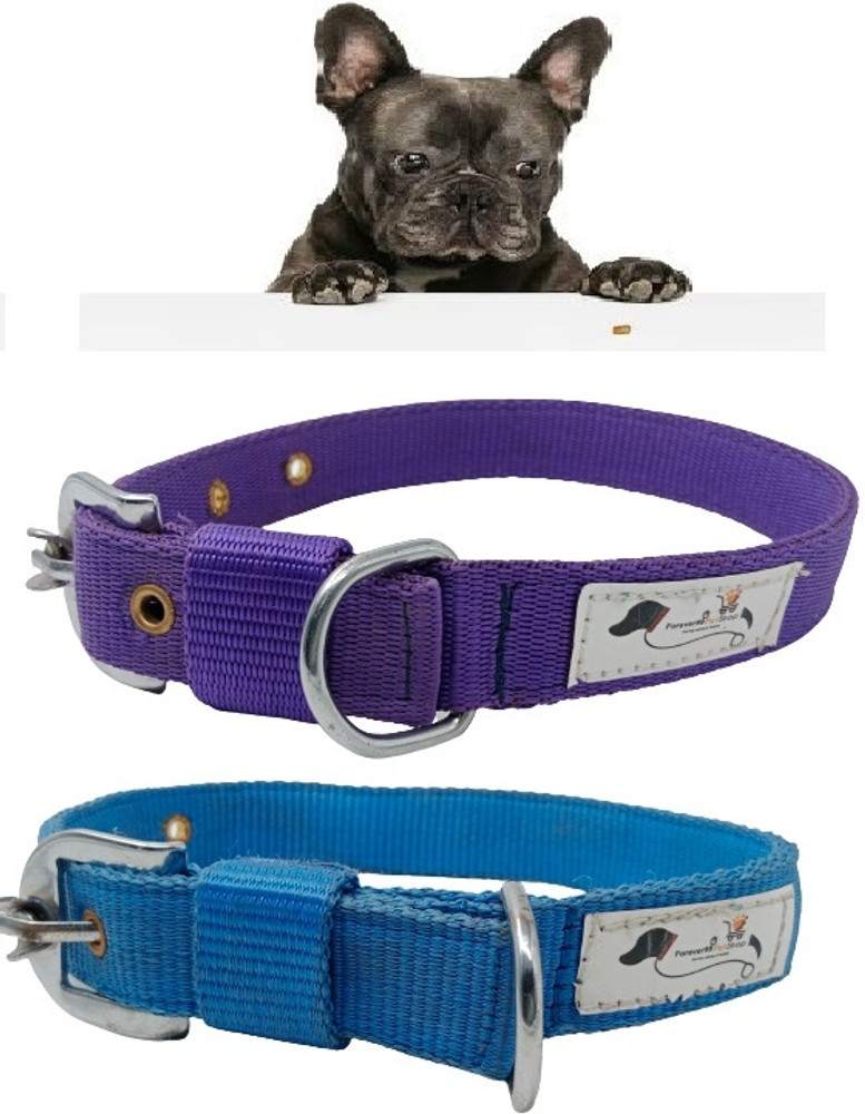 Extra small dog collar size cheap