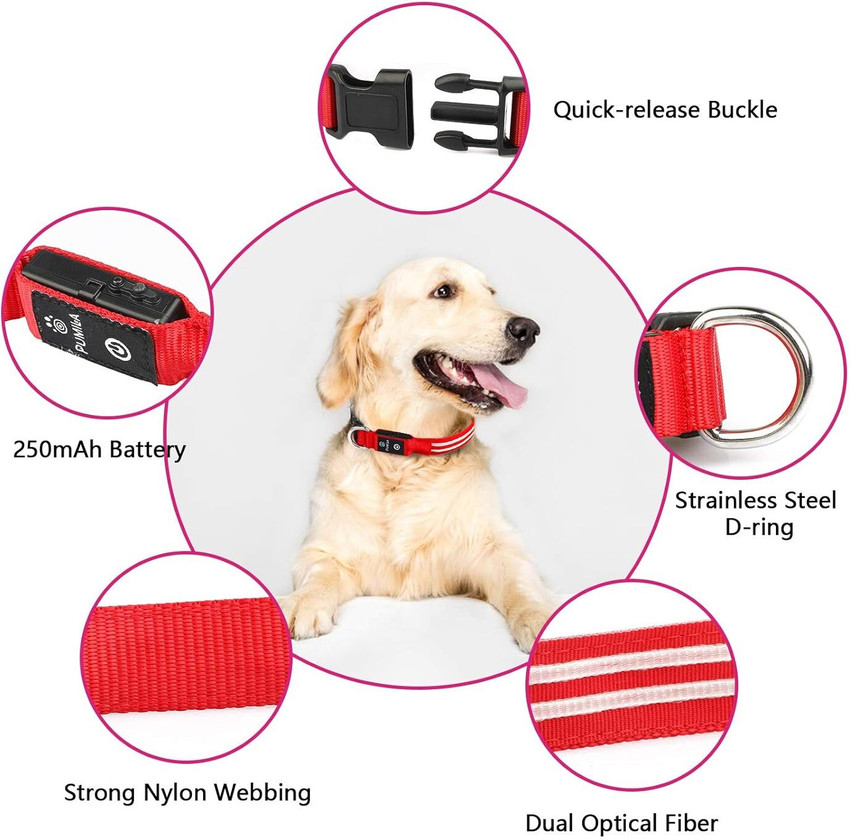 Pupscomfort Adjustable Collar Pet Accessories Dog Everyday Collar