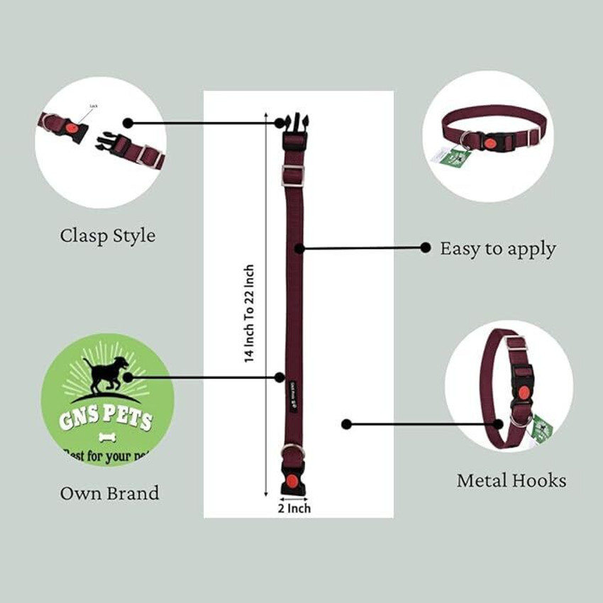 GNS PETS PET leash collar puppy dog Swivel clasp ~5 feet long, 2.5 