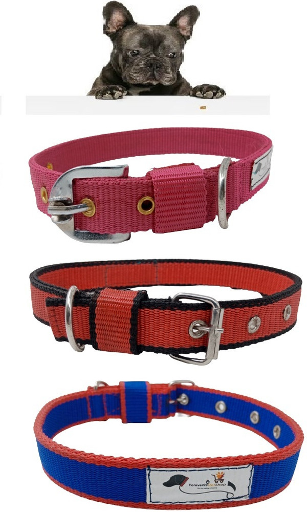 FOREVER99 Dog Collar Belt of All Breeds Waterproof Extra Large