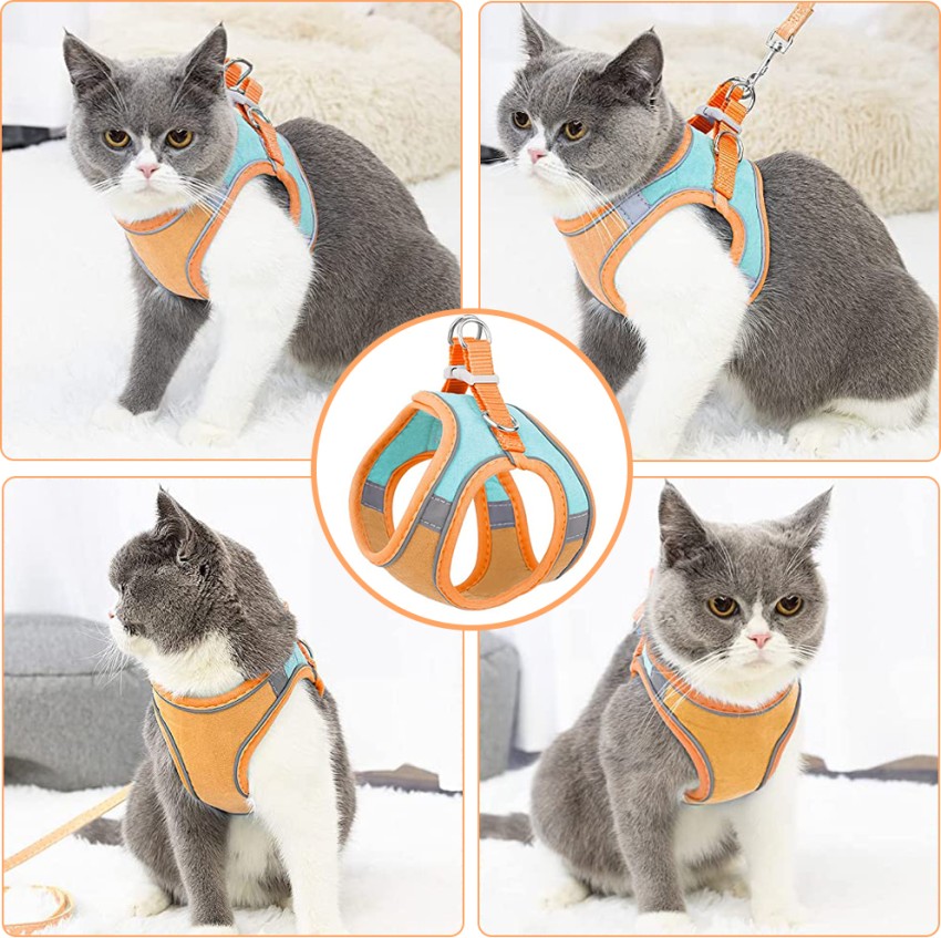 Scenereal cat outlet harness