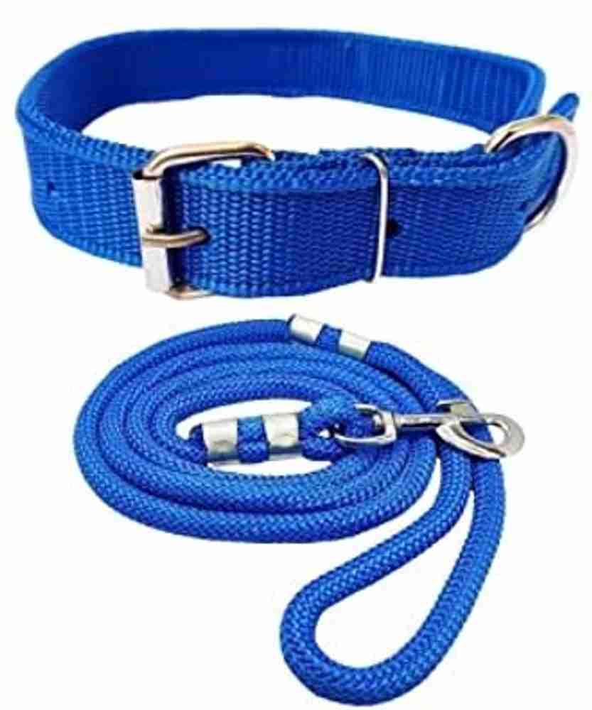 Smart leash for dogs hotsell