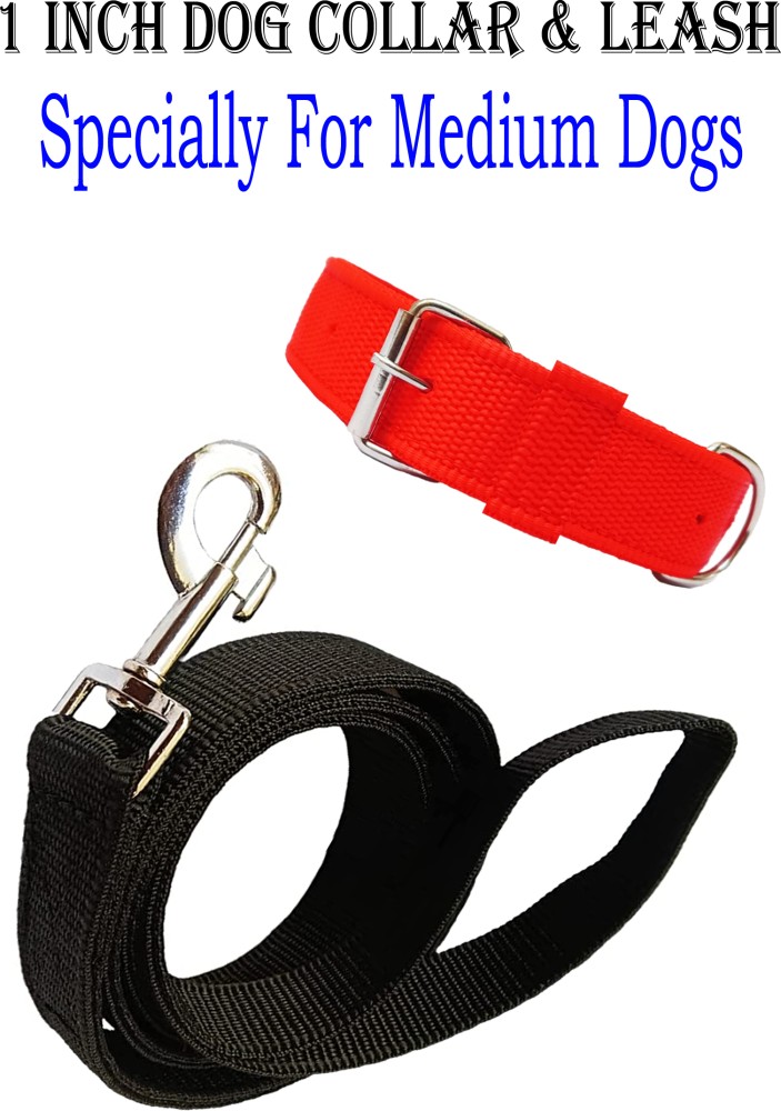 WROSHLER Dog Collar & Leash Price in India - Buy WROSHLER Dog Collar &  Leash online at