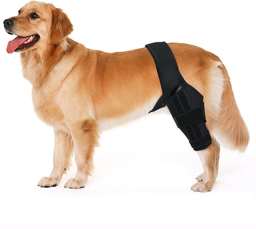 HANNEA Dog Leg Brace Dog Leg Support Dog Knee Brace Rear Leg Brace Leg Support Brace Dog Standard Harness Price in India Buy HANNEA Dog Leg Brace Dog Leg Support Dog
