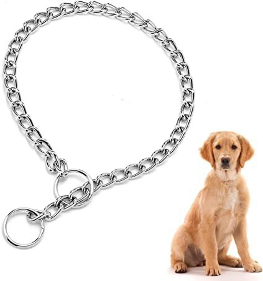 Petstorez Dog Chain Collar Adjustable Silver Metal Necklace Small 3 MM 18 Inch Long Dog Choke Chain Collar Price in India Buy Petstorez Dog Chain Collar Adjustable Silver Metal Necklace
